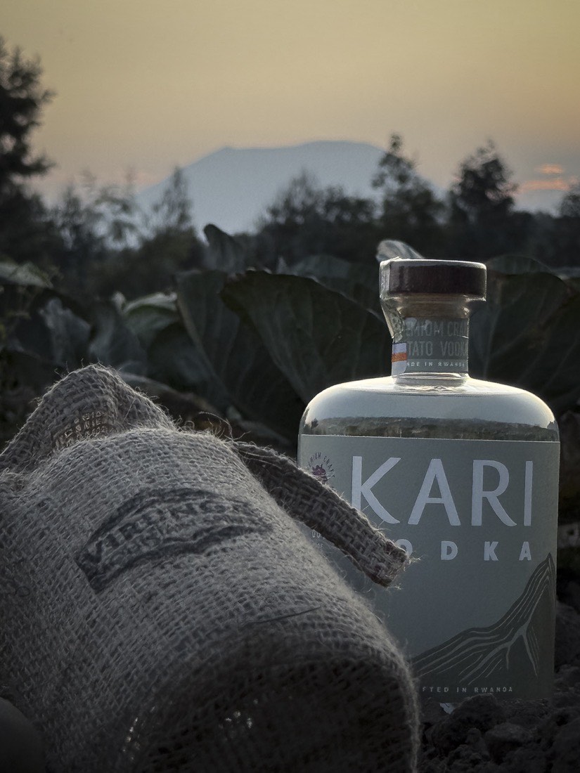 Kari Vodka in the Kinigi potato fields below the Virunga volcanoes