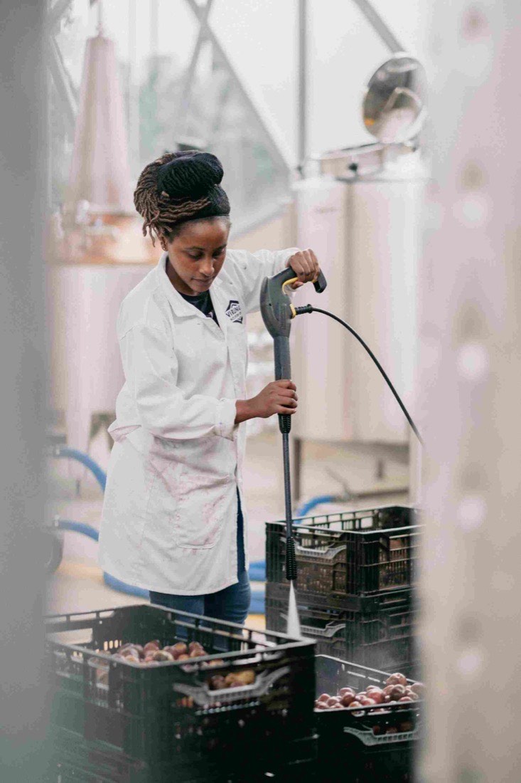 Washing Kinigi potatoes in the Virunga Mountain Spirits distillery