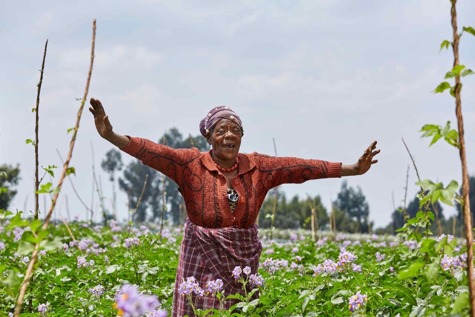 Greetings from Musanze: Moving to Musanze
